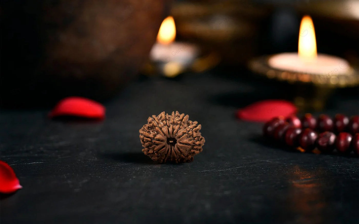 Natural 12 Mukhi Rudraksha (Nepali)