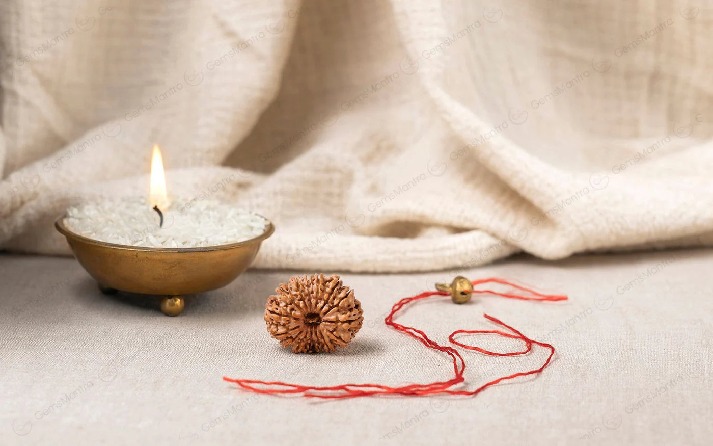 Natural 14 Mukhi Rudraksha (Nepali)