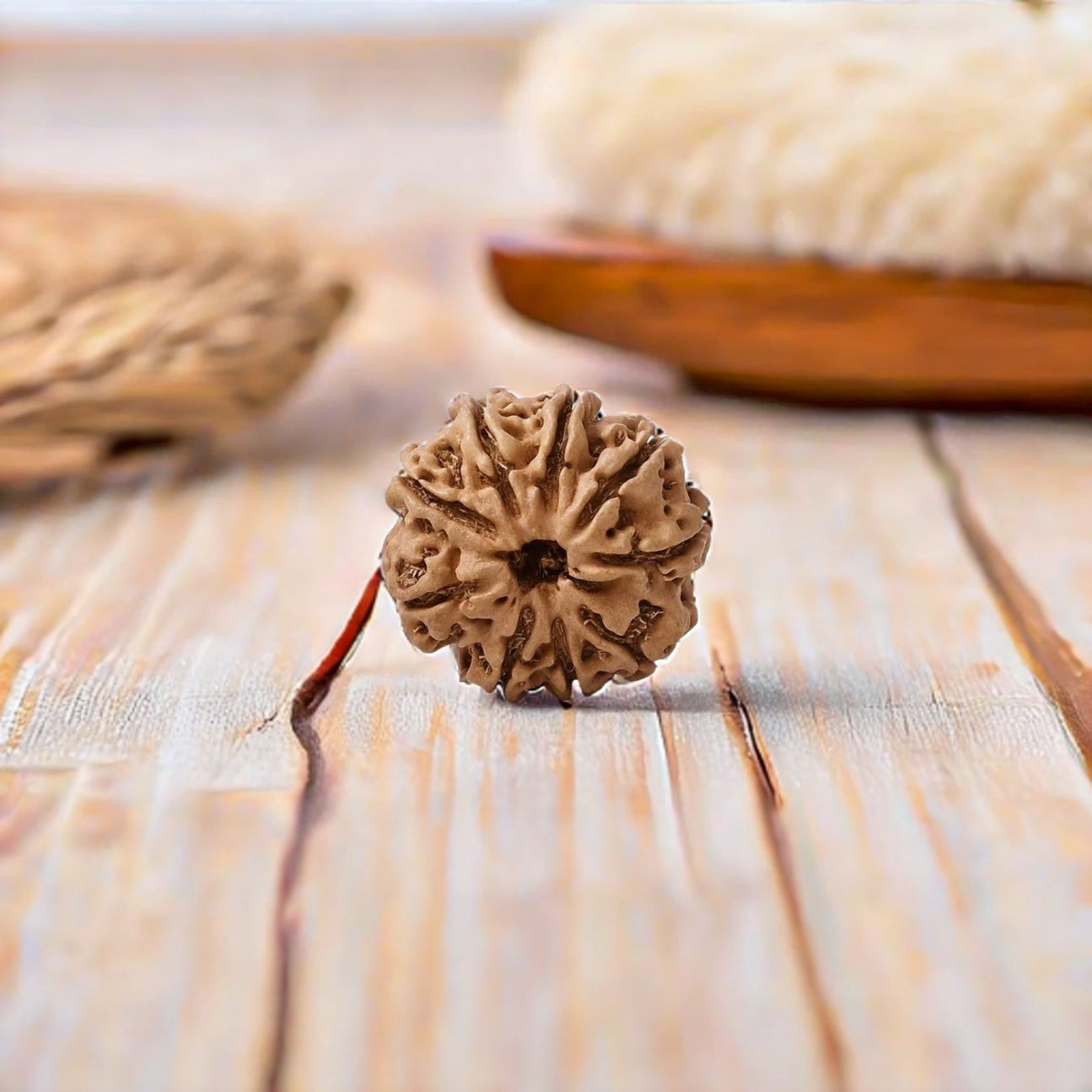 Natural 9 Mukhi Rudraksha (Nepali)