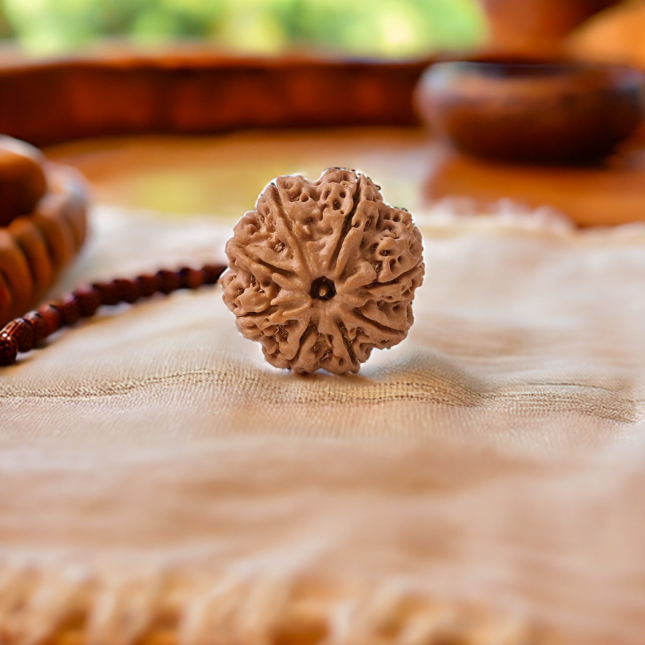 Natural 8 Mukhi Rudraksha (Nepali)