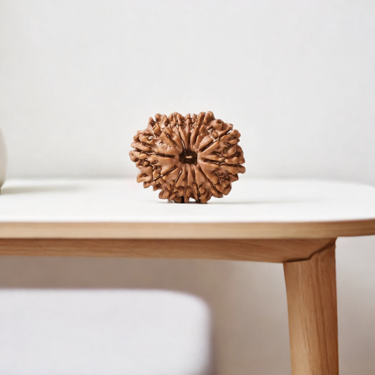 Natural 12 Mukhi Rudraksha (Nepali)