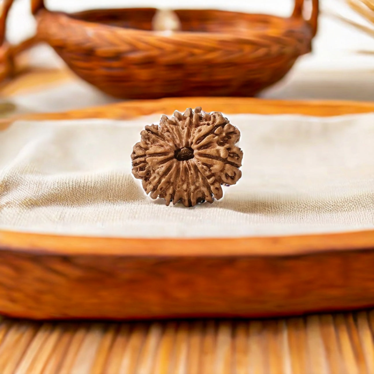 Natural 11 Mukhi Rudraksha (Nepali)