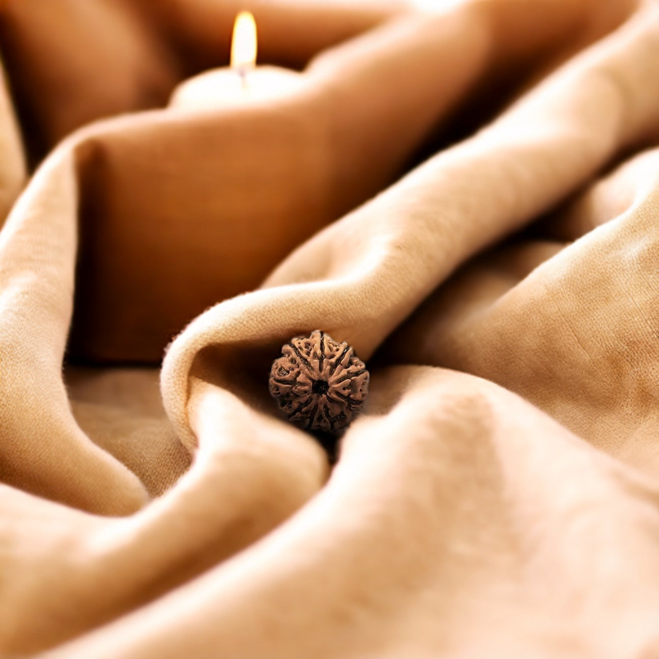 Natural 9 Mukhi Rudraksha (Nepali)