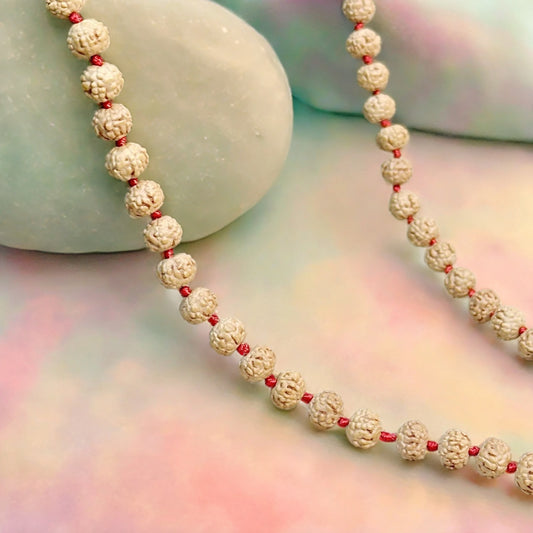 6 Mukhi Rudraksha Mala 108 Beads
