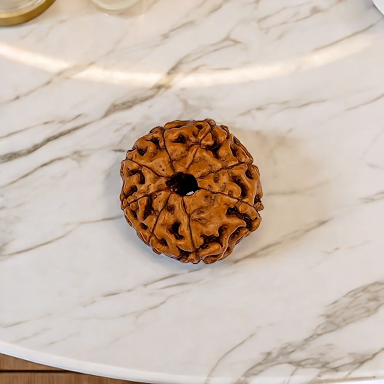 Natural 8 Mukhi Rudraksha (Indo)