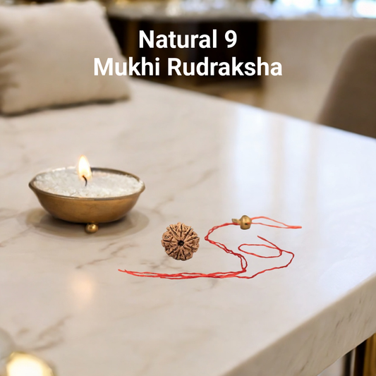 Natural 9 Mukhi Rudraksha (Nepali)