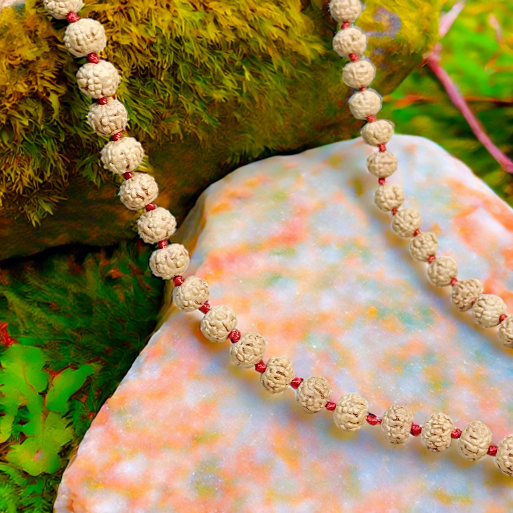 6 Mukhi Rudraksha Mala 108 Beads