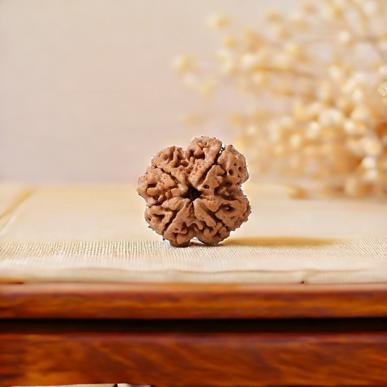 Natural 4 Mukhi Rudraksha (Nepali)