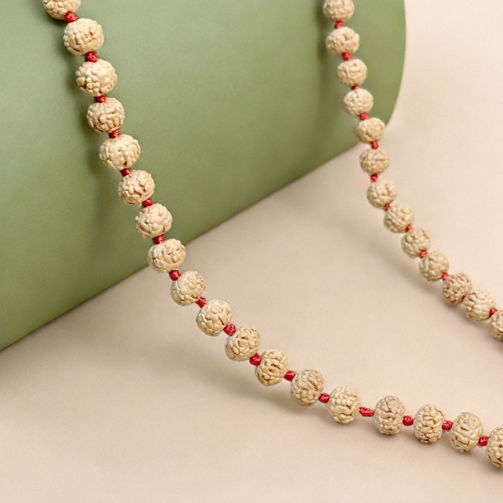 6 Mukhi Rudraksha Mala 108 Beads