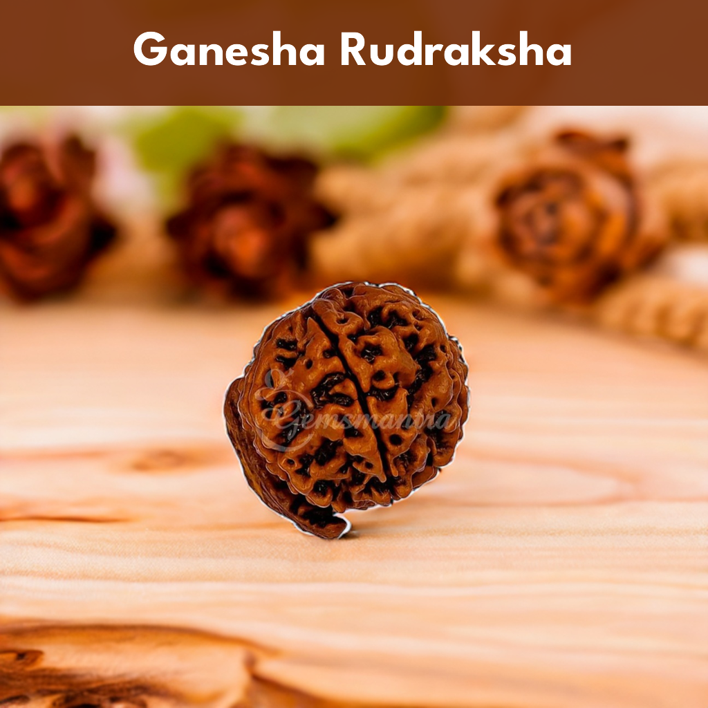 Natural Ganesha Rudraksha