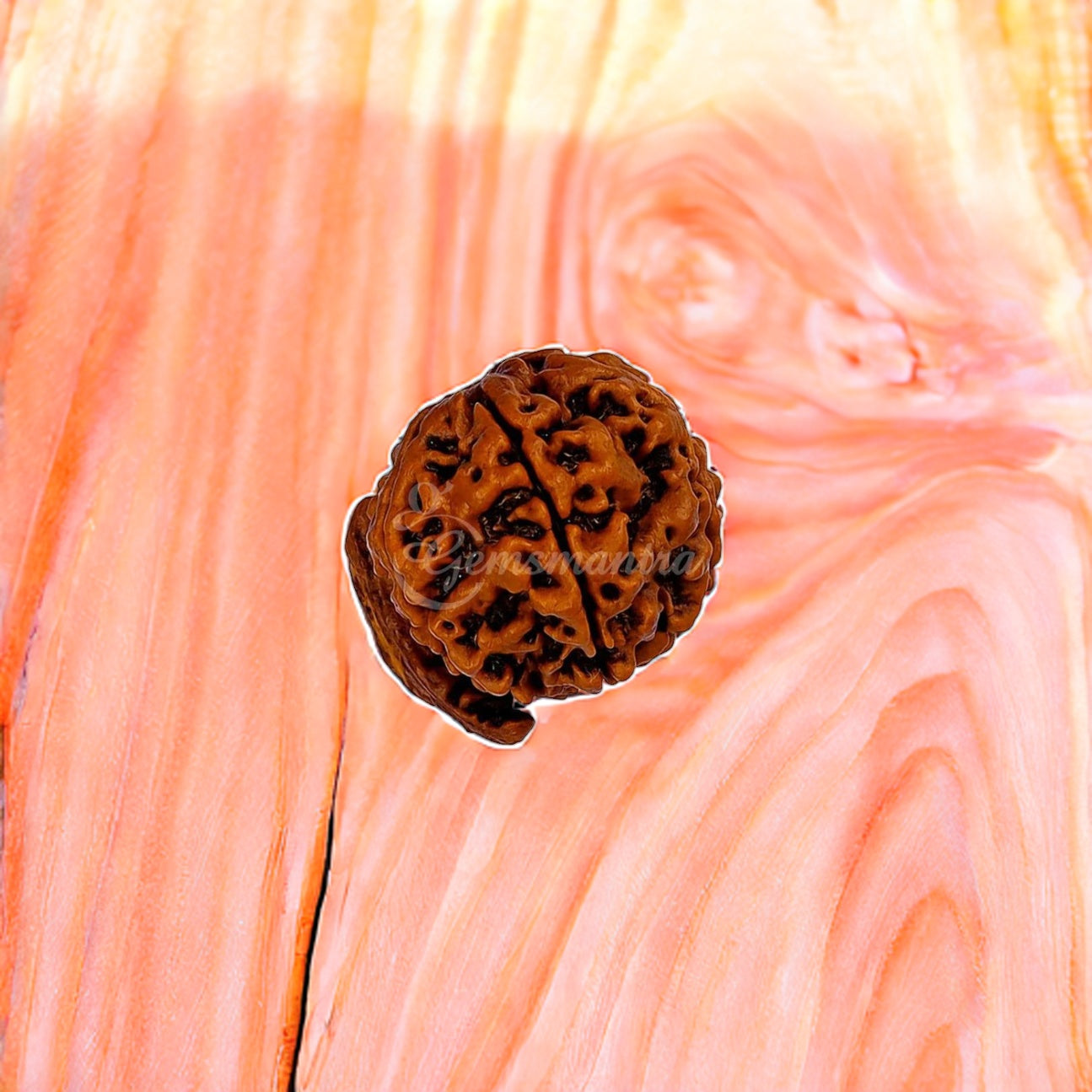 Natural Ganesha Rudraksha