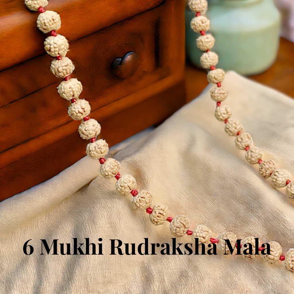6 Mukhi Rudraksha Mala 108 Beads