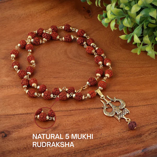 Gold Plated Rudraksha Trishool