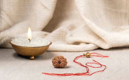 Natural 12 Mukhi Rudraksha (Nepali)