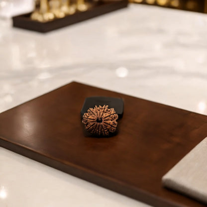 Natural 11 Mukhi Rudraksha (Nepali)