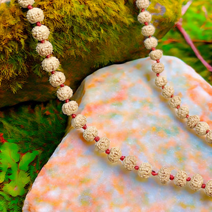6 Mukhi Rudraksha Mala 108 Beads